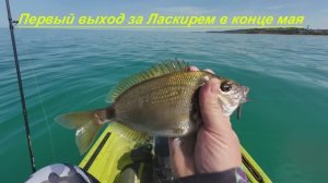 Рыбалка с каяка в Любимовке в конце мая