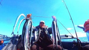 ЕГО ЗАШЛО НЕМЕРЯНО! Рыбалка на Саргана в Балтийском море