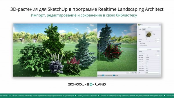 3Д-растения для SketchUp в программе Realtime Landscaping Architect