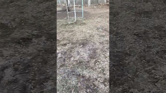 показываю город и свою работу я дворник