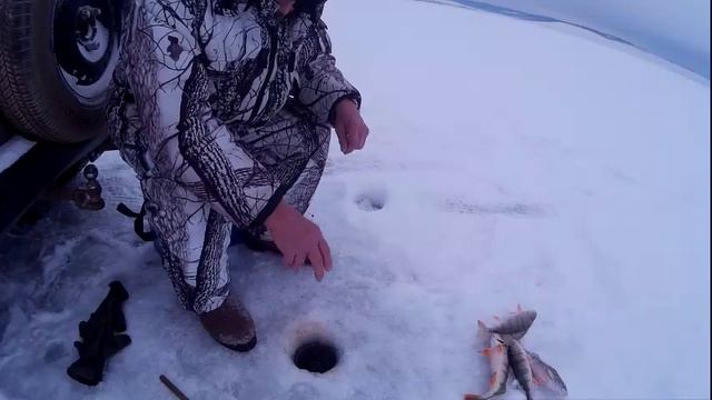 Рыбалка на крупного окуня на большой глубине 10.12.2016. смотреть онлайн