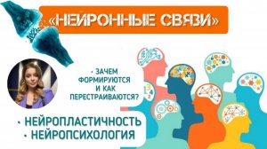 Как работает МОЗГ и нейронные связи 🧠⚡️