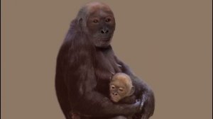 Что Ели Наши Предки? По Следам Охоты Древнего Человека! @realunrealchannel