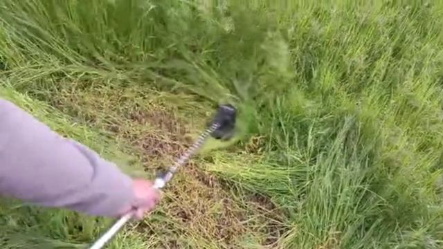 Без колес в поле