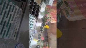 1000010180.mp4