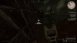 STALCRAFT: X | ТОП ЗАБЕГИ НА МОГИЛЬНИК | ФАРМ МАЯЧКОВ НА МОГИ?