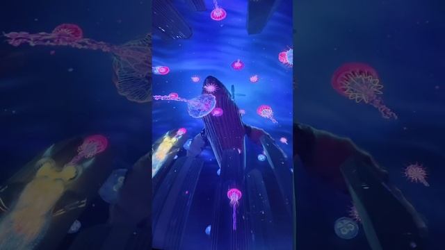 ВДНХ: интерактивное иммерсивное шоу-пространство LUMINAR