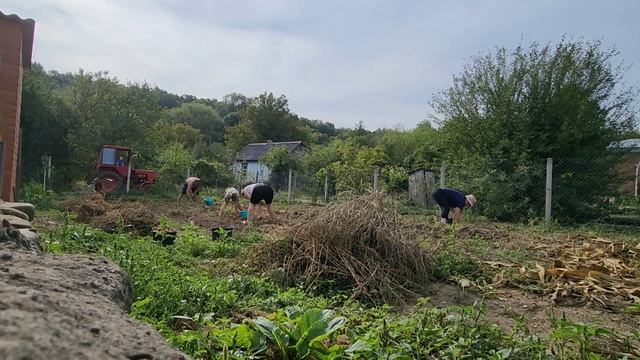 ВЛОГ🍉КОМПОТ ИЗ ВИНОГРАДА🍇РАСПАКОВКА ЧИЖИК И ФИКС П?