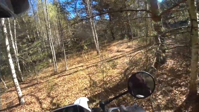 ПОЕЗДКА В ЗАПРЕТНУЮ ЗОНУ | ЕГОРЬЕВСКИЙ РЫБОКОМБИНАТ | ?