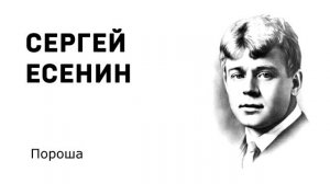Сергей Есенин Пороша Учить стихи легко Аудио Стихи Слушать Онлайн