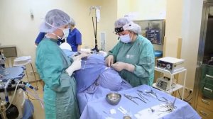 Эндоскопическое удаление полипов в носу в ЕМС