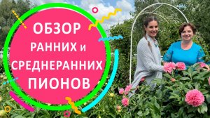 Обзор ранних и среднеранних пионов