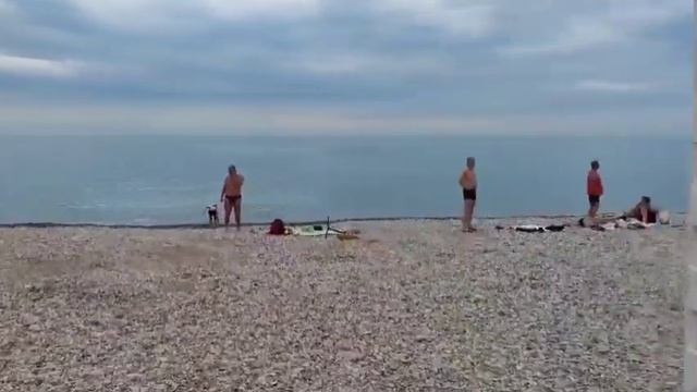 Супер курорт ДИВНОМОРСКОЕ 2024️ #дивноморское #дивноморск #travel #архипоосиповка смотреть онлайн