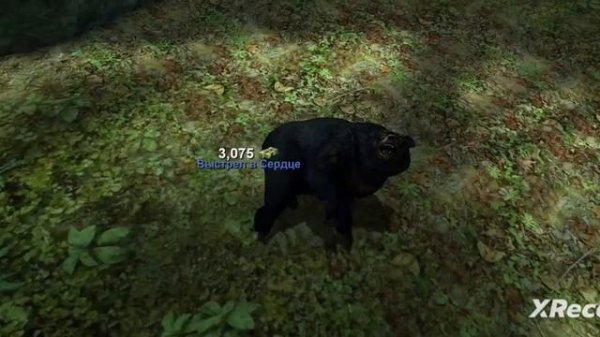 deer hunter classic с 10 региона до 16 региона