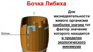 Бочка Либиха
