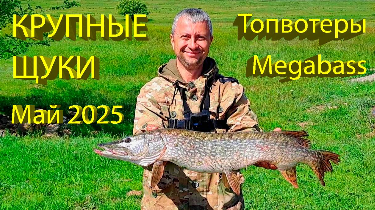 🔥 Воблеры MEGABASS - БОЛЬШИЕ ЩУКИ в ярости! ТРОФЕЙНАЯ РЫБАЛКА на волкер Dog-X и кренкбейт I-Jack🔥