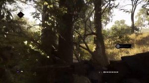 Hunt Showdown: Пуш для самых маленьких или используй дробови