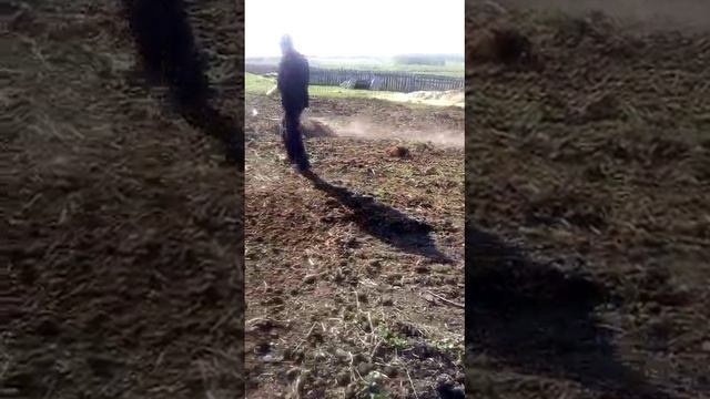 первая съемка