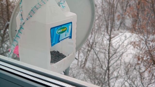 Тест камеры 4к 120кадров смотреть онлайн