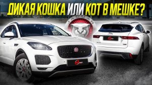 Почему Jaguar E-Pace лучший компактный кроссовер / Стоит ли он своих денег в 2025?