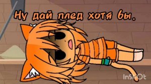 жизнь разноцветных котов за кадром.