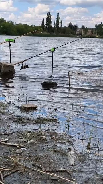 Летом у карася жор смотреть онлайн