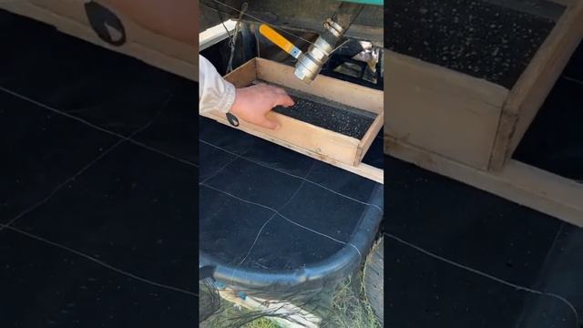 Омарта шаруашылығы/Бал қалай дайындалады/Таза балды қ смотреть онлайн