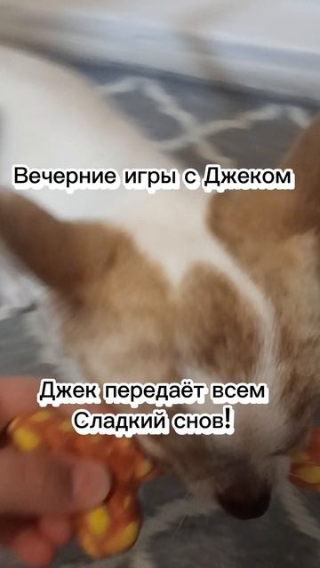 Вечерние игры с Джеком смотреть онлайн