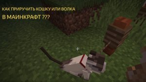 как приручить кошку или волка в Майнкрафт