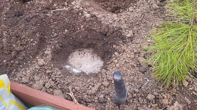 ОБЯЗАТЕЛЬНО ПОЛОЖИТЕ ЭТО В ЛУНКИ ПРИ ПОСАДКЕ КАПУСТЫ ? смотреть онлайн