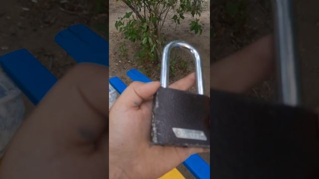 Эйнштейн пьёт пиво