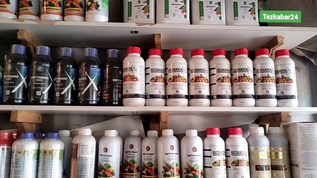 Пайылка жем грунт цветочный Алмага дарылар келди