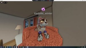 Делаю скин используя все пасы! коты  воители,роблокс! Wa