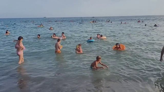 Где отдохнуть на Черном море 2024️Архипо-Осиповка ☝️#Архипо-Осиповка2024 #архипка #travel смотреть онлайн