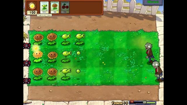 пвз с русским переводом