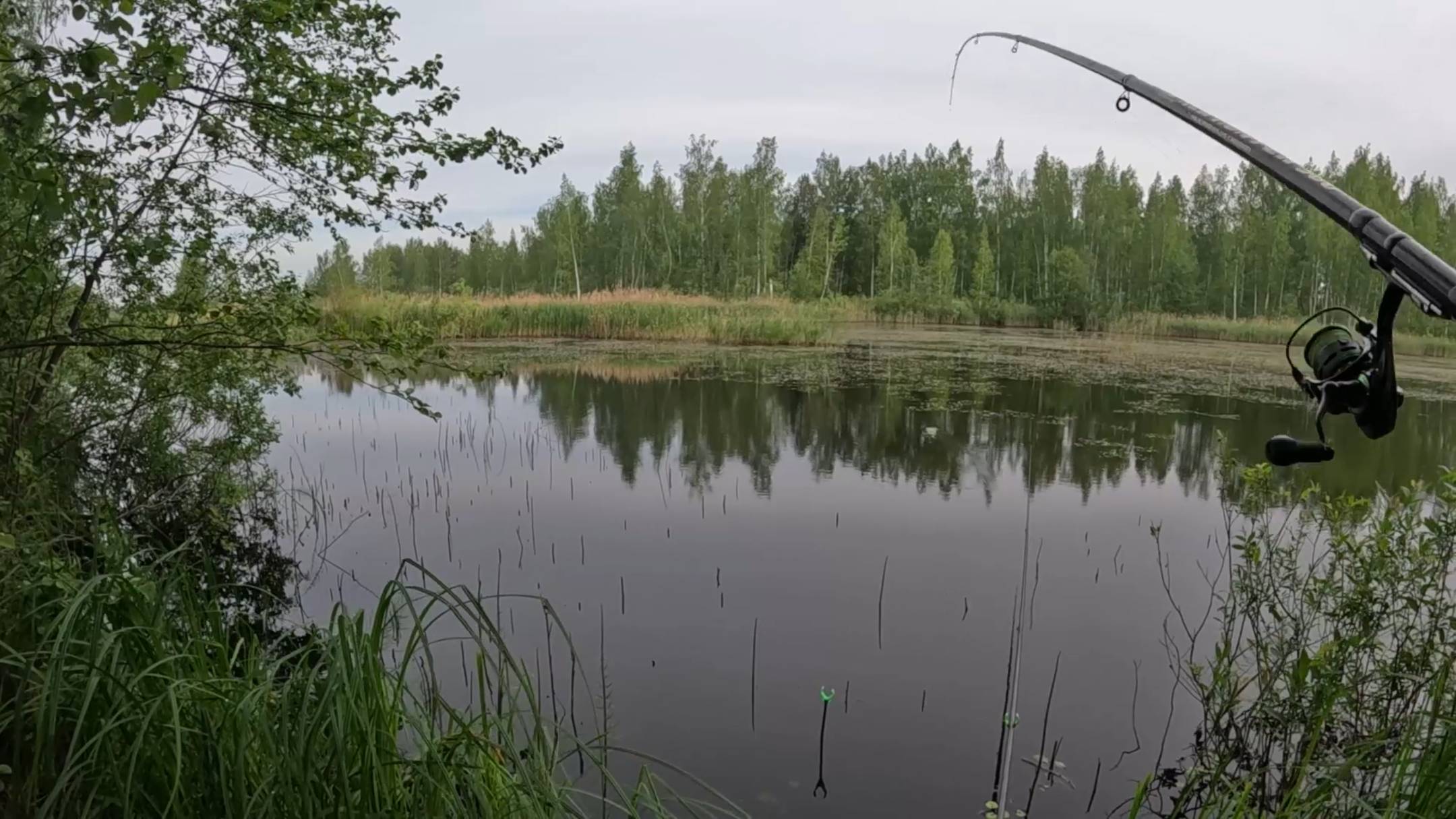 Рыбалка на поплавок в июне 2025