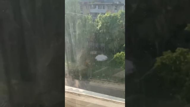 Этажи Златоуст