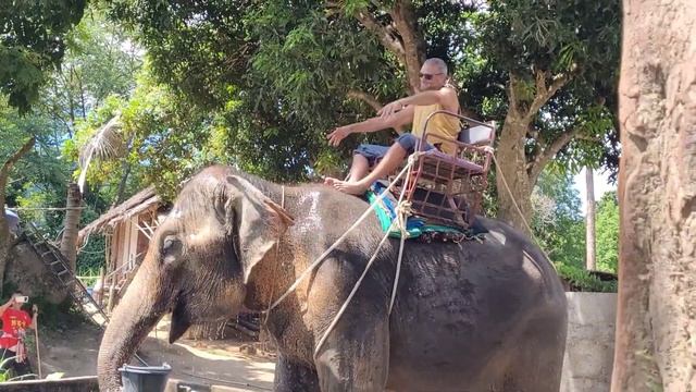 Архипо-Осиповка привет из Тайланда2023 #тайланд #панган # смотреть онлайн