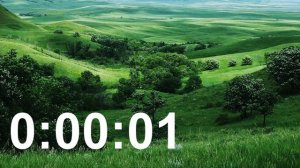 ТАЙМЕР ⏰ на 30 секунд со звуком