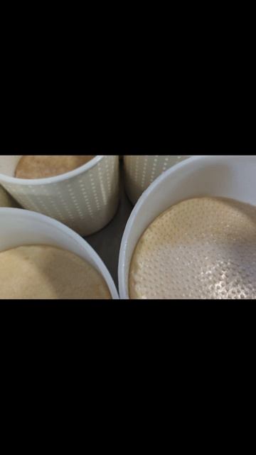 Приготовили сыр "Леггеро" с вяленой щукой холодного копчения / "Сыроварня Елисеевых" смотреть онлайн