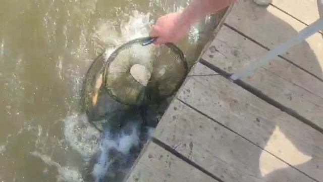 WhatsApp Video 2025-06-07 at 14.40.17 смотреть онлайн