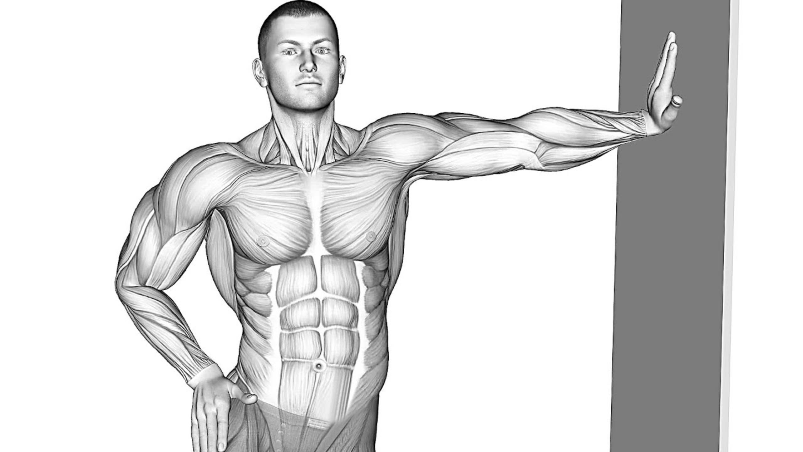 12 упражнений которые помогут Облегчить Боль в Спине в домашних условиях смотреть онлайн