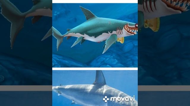 Реалісьичні акули з гри HUNGRY SHARK WORLD 🐳🐋🐬🐟🐠🐡🦈🐙🐚 смотреть онлайн