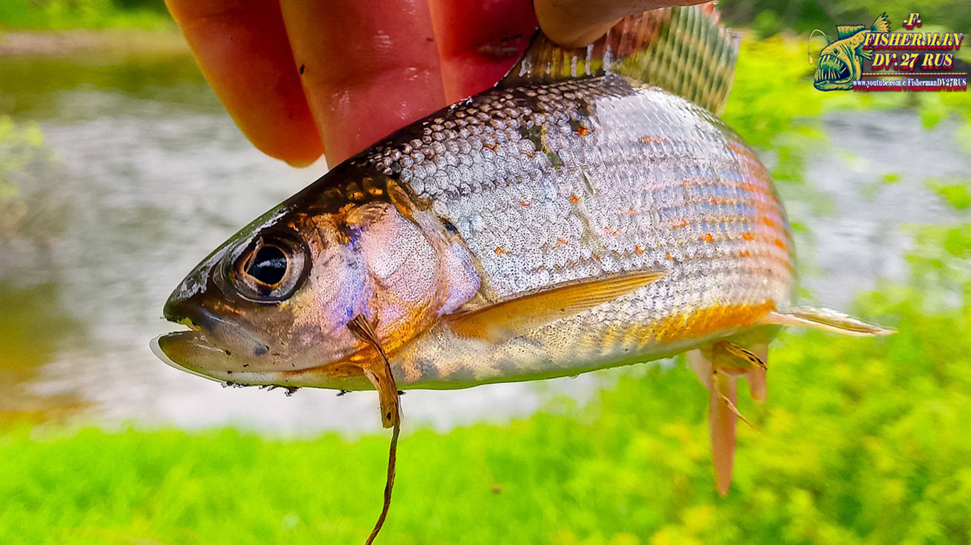 Про рыбалку, снасти, экипировку и БЕЗОПАСНОСТЬ на рыбалке по горным рекам!