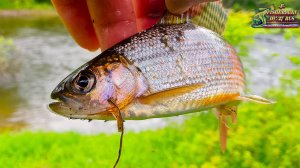 Про рыбалку, снасти, экипировку и БЕЗОПАСНОСТЬ на рыбалке по горным рекам!