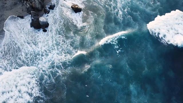 Берегите природу. #shorts