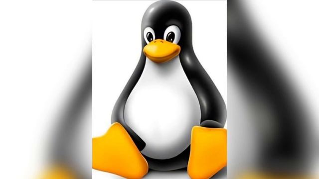 Linux penguin error Android #linuxpenguin #linux #ядра смотреть онлайн