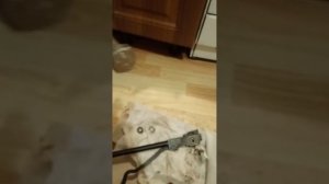 Хатсан 125 е разкаксовка, осевой винт не открутился как