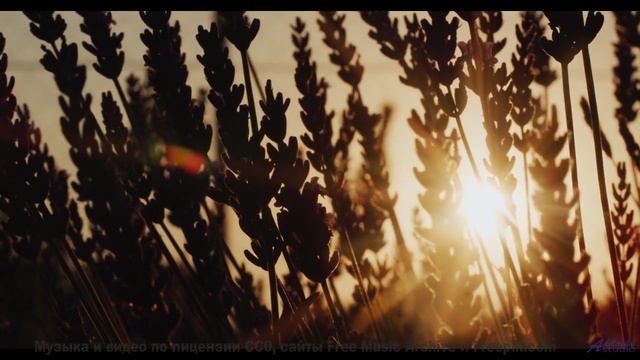 Это место ВЫЗЫВАЕТ галлюцинации! - Extraordinary Spirits -- Ketsa -- Metaphysics