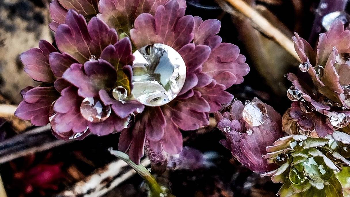 Прохожу мини игры в доте